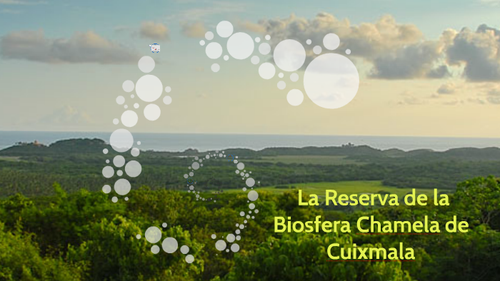Reserva de la Biosfera ChamelaCuixmala by Sandra Madrigal