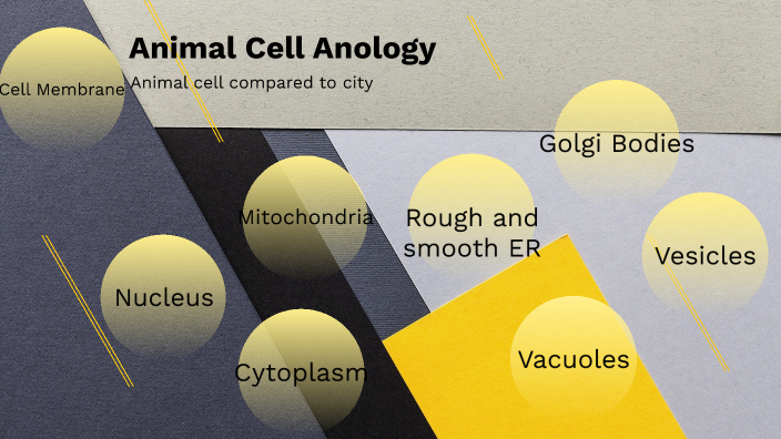 Animal cell by Perez Mebrat on Prezi
