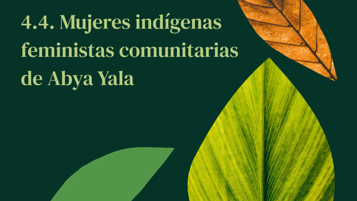 4.3. Mujeres indígenas feministas comunitarias de Abya Yala by Karla ...