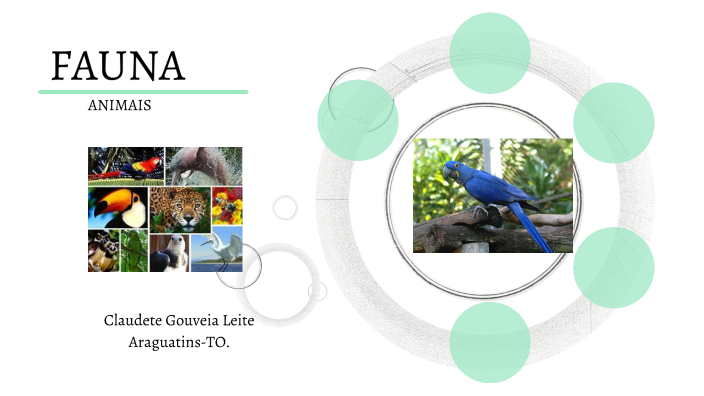 Fauna - Animais Em Risco De ExtinÇÃo By Claudete Gouveia Leite On Prezi