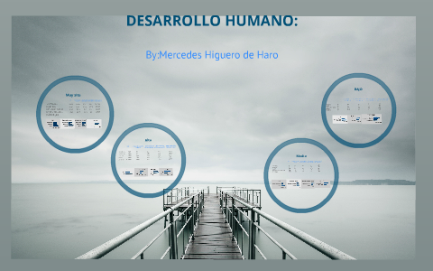 Desarrollo humano muy alto, alto, medio y bajo by María de las Mercedes ...