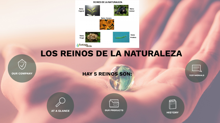 REINOS DE LA NATURALEZA by andres vega on Prezi