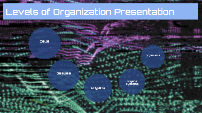 Levels of Organization Presentation by Dariel Nolasco [STUDENT] on Prezi