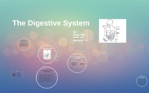 The Digestive System by Hugo Tam on Prezi