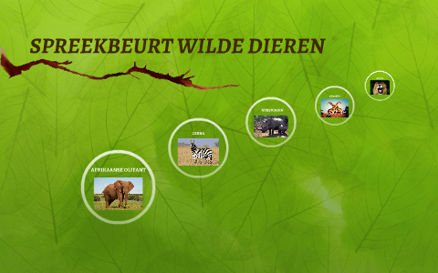 SPREEKBEURT WILDE DIEREN by Andre van Roon on Prezi