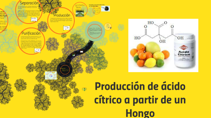 Producción de ácido cítrico a partir de un Hongo by Josselyn Aguilar on  Prezi