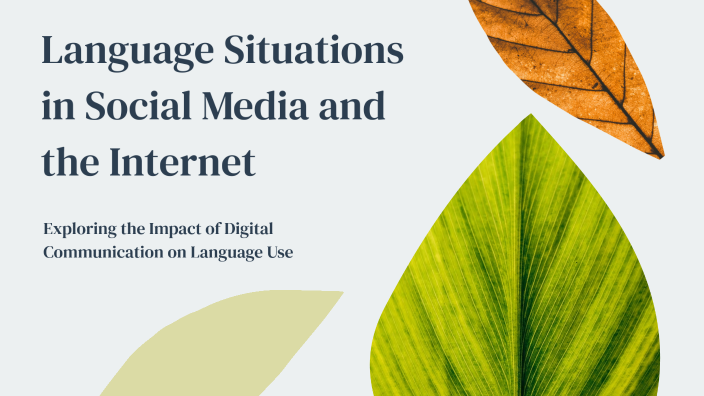 Language Situations in Social Media and the Internet by reyjie labitad ...