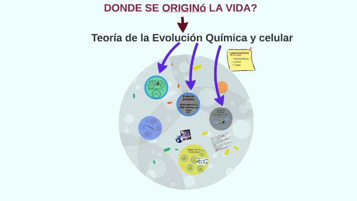 Teorias De La Evolucion Quimica Para Primer Grado De 0517