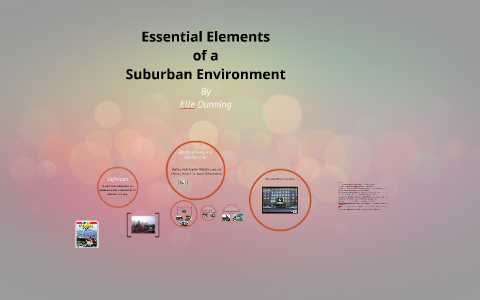 Suburbanization essay 07 image
