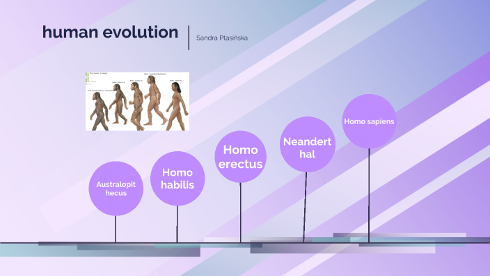 Antropogoneza by Sandra Ptasińska on Prezi