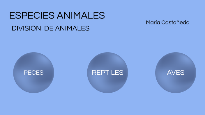 división de animales by María Castañeda on Prezi