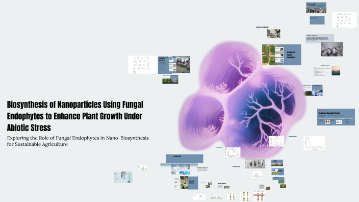 Biosynthesis of Nanoparticles Using Fungal Endophytes to Enhance Plant ...