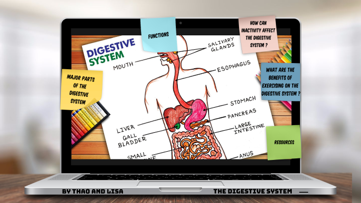 The digestive system by by Lisa NOEL on Prezi