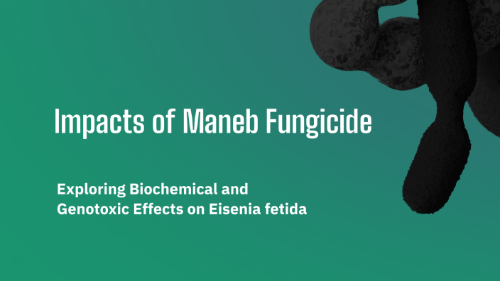 Impacts of Maneb Fungicide by Salih Dikilitaş on Prezi