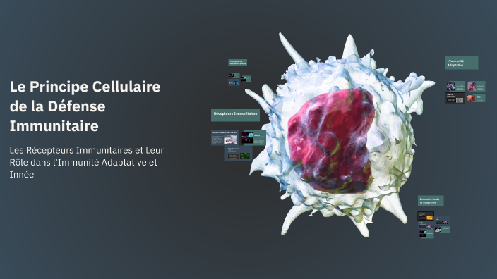 Le Principe Cellulaire de la Défense Immunitaire by x_ahmed_x ñâdį4 on ...