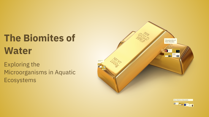 The Biomites of Water by Gergana Mollova on Prezi