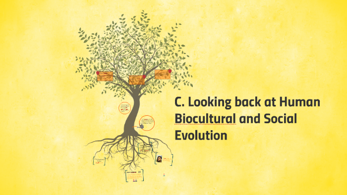 C. Looking Back At Human Biocultural And Social Evolution By Wonwoo ...