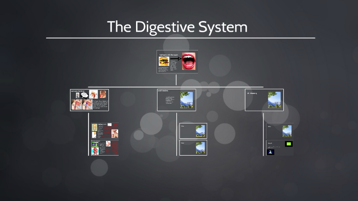 The Digestive System by Grace Jenson on Prezi
