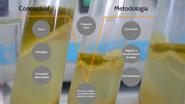 laboratorio de saponificación by Natalia Ayala on Prezi