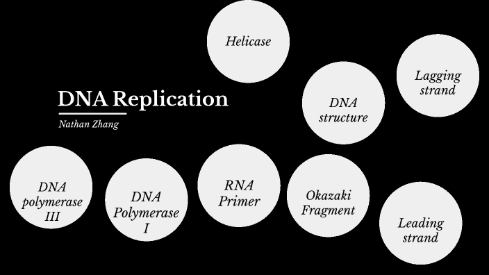 DNA Replication by nathan zhang on Prezi