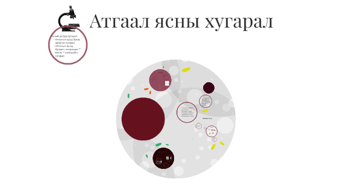 Атгаал ясны чөмөгт хэсгийн хугарал by Хандмаа Батсайхан on Prezi
