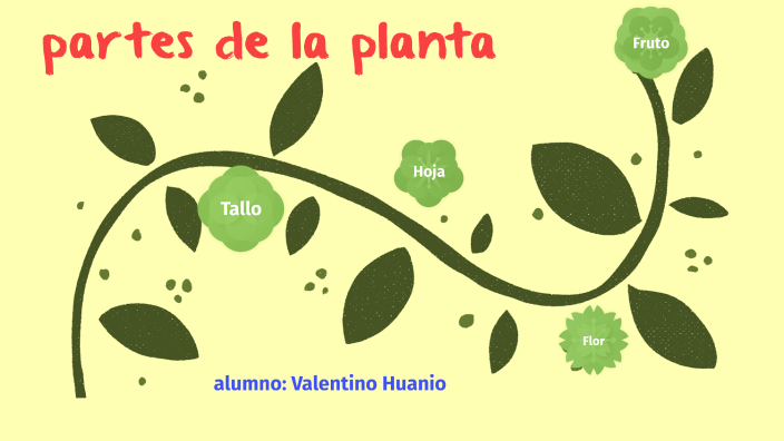 Partes De Las Plantas 4to B By Bastian Valentino HUANIO MARREROS