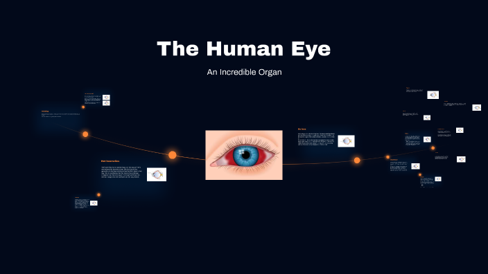 The Human Eye by Nienke M on Prezi