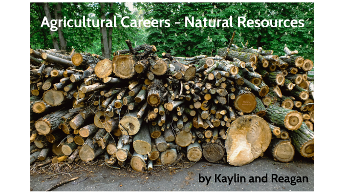 Agricultural Careers Natural Resources By Kaylin Beardsley
