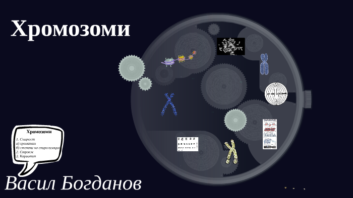 Хромозоми by Васил Богданов