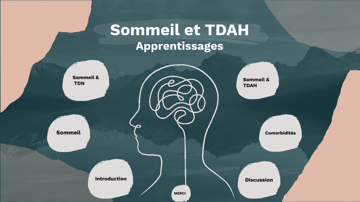 ICA Sommeil By Feyza Gedik On Prezi ica-sommeil-by-feyza-gedik-on-prezi