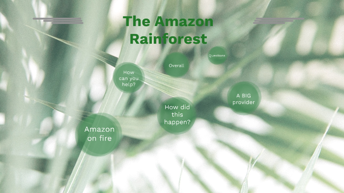 The Amazon Rainforest by Delaney Rosson on Prezi