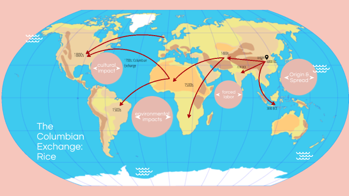 Where Did Rice Spread After The Columbian Exchange