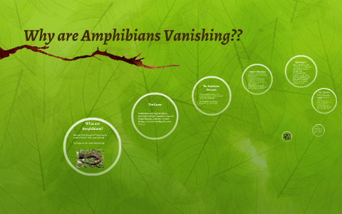 Why are Amphibians Vanishing?? by Jackie Rhodes