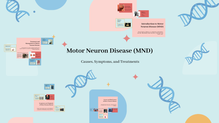 Understanding Motor Neuron Disease (MND) by Savanah Sutton on Prezi