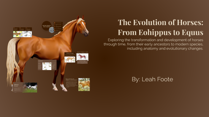The Evolution of Horses: From Eohippus to Equus by Leah Foote on Prezi