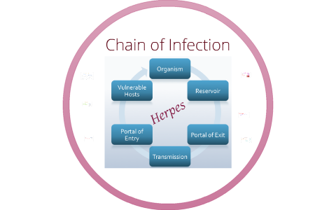 Chain of Infection: Herpes by Rosanny on Prezi