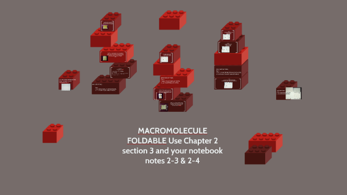 MACROMOLECULE FOLDABLE Use Chapter 2 section 3 and your note by luis ...