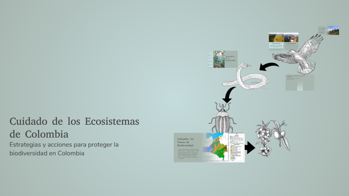 Cuidado de los Ecosistemas de Colombia by VALERIA CASAS CACERES on Prezi