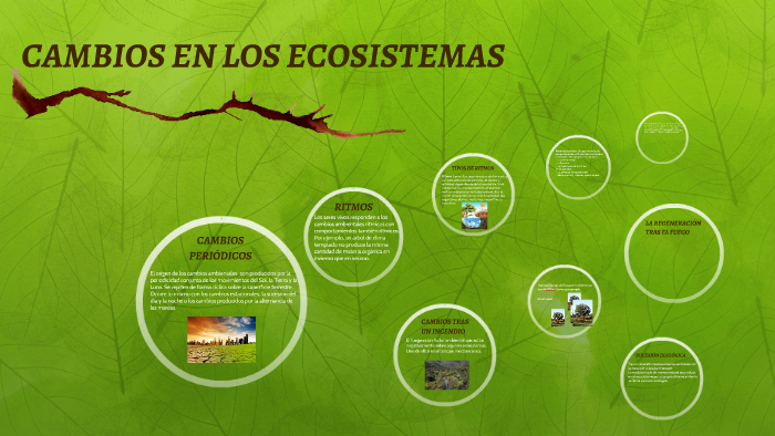 CAMBIOS EN LOS ECOSISTEMAS by Irene González on Prezi