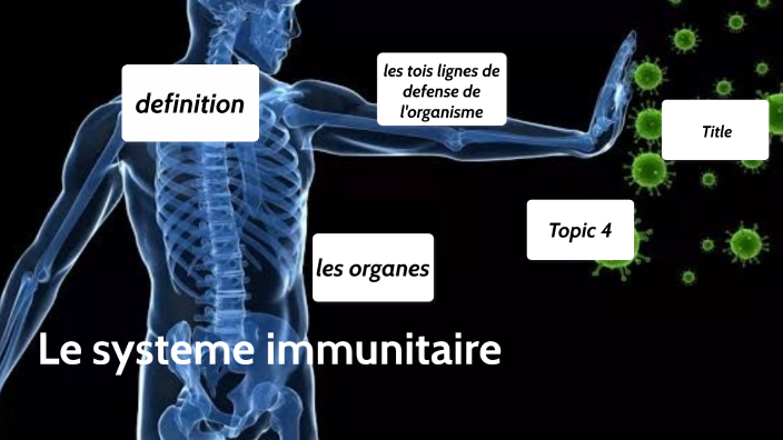 Le système immunitaire by hiba sadou on Prezi