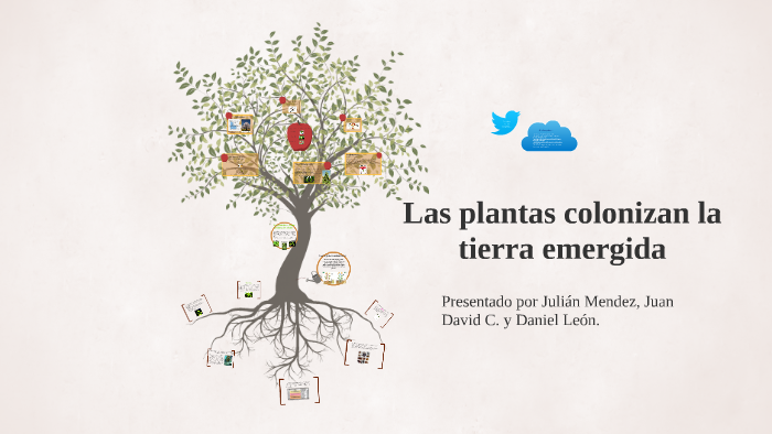 Las Plantas Colonizan La Tierra Emergida By Daniel Alejandro Leon ...