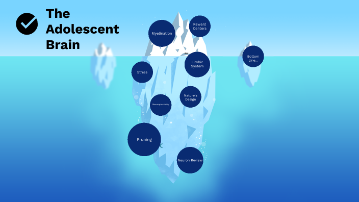 The Adolescent Brain by Robin Llewellyn on Prezi