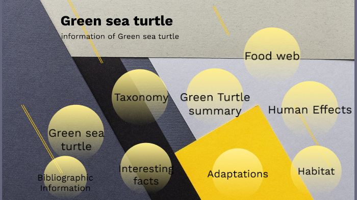The Green sea turtle by Orlando Hernandez Solorio on Prezi