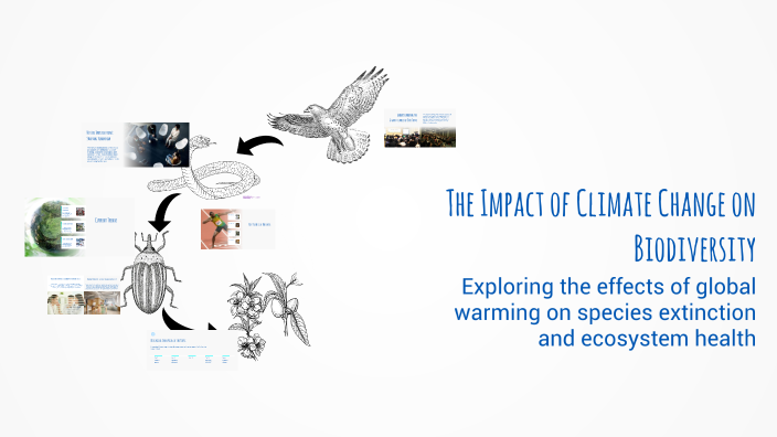 The Impact of Climate Change on Biodiversity by Adrian Belarmino on Prezi