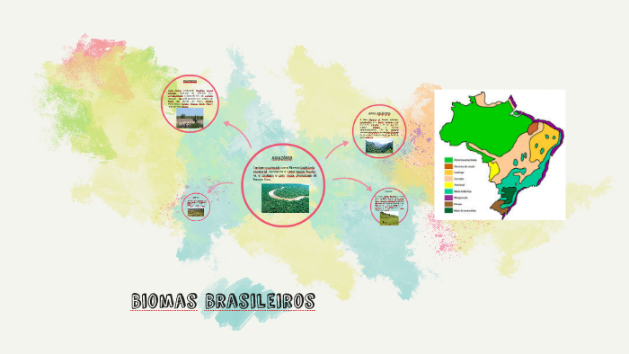 Biomas Brasileiros by rafael Tararam on Prezi