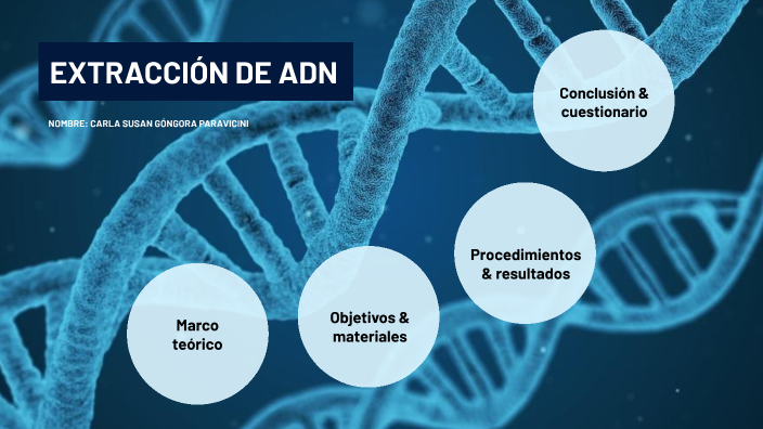 EXTRACCIÓN ADN by Carla Góngora on Prezi