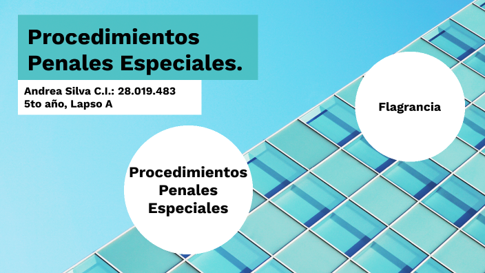 Procedimientos Penales Especiales By Andrea Silva On Prezi 1335