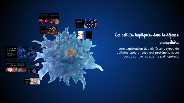 Les cellules impliquées dans la défense immunitaire by Sara on Prezi