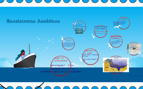 Ecosistemas Marinos by diana sanchez on Prezi