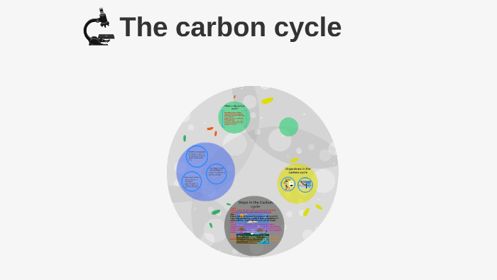 The carbon cycle by Pam Gifford on Prezi